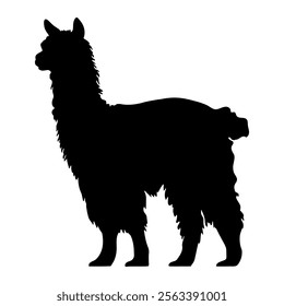 Alpaca black silhouette vector illustration.