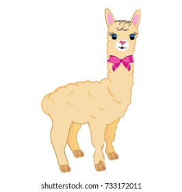 alpaca with bow
