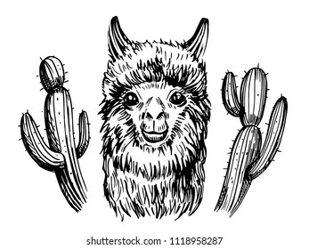 Alpaca with cacti. Hand drawn sketch. Vector