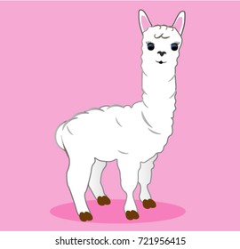 Alpaca cartoon vector