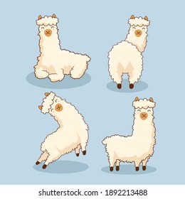 Alpaca Cartoon Vector Llama Set