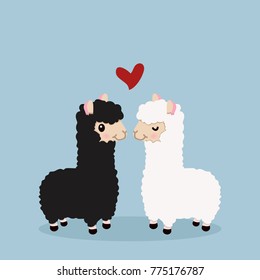 alpaca couple in love