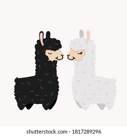 alpaca couple in love On Isolate Background 