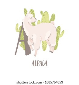 A for alpaca. Cute animals alphabet for kids education. Vector illustration isolated on white background.