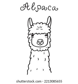 Alpaca face. Animal. Outline vector icon. 