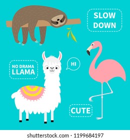 Alpaca, flamingo, sloth set. No drama llama. Slow down. Cute cartoon funny kawaii character. Childish baby collection. T-shirt, greeting card, poster template print. Flat design Blue background Vector