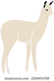 Alpaca grey skin, alpaca vector, alpaca illustration, llama