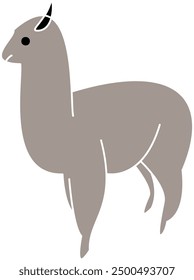 Alpaca grey skin, alpaca vector, alpaca illustration, llama vector