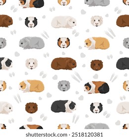 Alpaca Guinea pig seamless pattern. All coat colors cavies set. Small Pet Rodents. Vector illustration