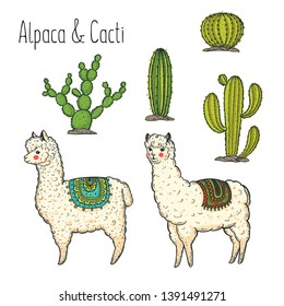 Alpaca Hand drawn vector illustration. Cute llamas and cactus.  