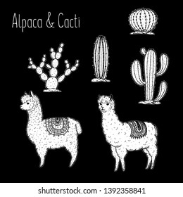 Alpaca Hand drawn vector illustration. Cute llamas and cactus.  Alpaca, llama, cactus set.