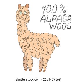 alpaca hand-drawn on a white background, text 100 % alpaca wool
