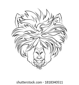 Alpaca (head). Line drawing. Black and white illustration. Vector.