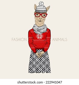 Alpaca hipster dressed up in winter jacquard pullover and knitted hat