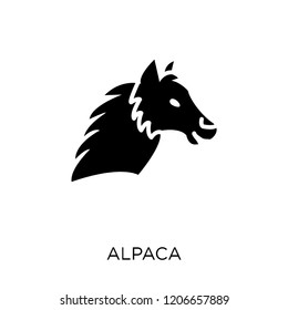 Alpaca icon. Alpaca symbol design from Animals collection. Simple element vector illustration on white background.