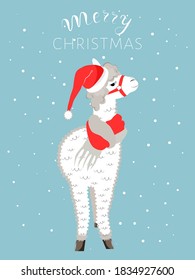 Alpaca, lama in christmas hat and red scarf, winter greeting card vector illustration.