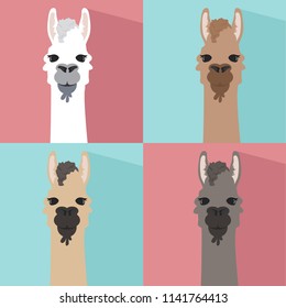 Alpaca lama portrait  flat style