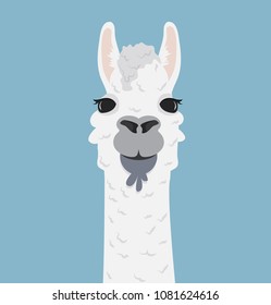 Alpaca lama portrait Vector Illustration