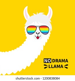 Alpaca llama animal face in rainbow glassess. No drama. Cute cartoon funny kawaii character. T-shirt, greeting card, poster print. Childish baby collection. Flat design. Yellow background. Vector