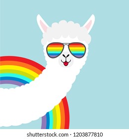 Alpaca llama animal face in rainbow glassess. Cute cartoon funny kawaii character. Fluffy hair fur. T-shirt, greeting card, poster print. Gay symbol collection. Flat design. Blue background. Vector