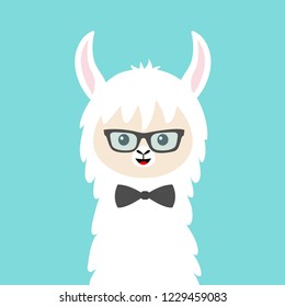 Alpaca llama animal face in sun glasses and bow. Cute cartoon kawaii smiling funny character. T-shirt, greeting card, poster print. Childish baby collection. Flat design. Blue background. Vector