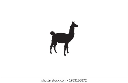 Alpaca llama animal logo icon design silhouette illustration vector template
