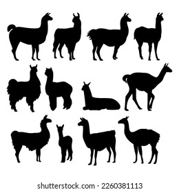 Alpaca llama animal silhouette cutting stencil templates svg
