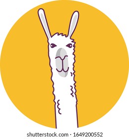Alpaca Llama animal vector art drawing