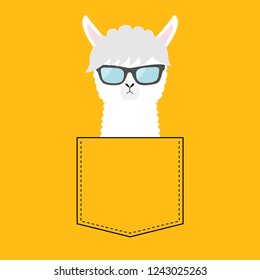 Alpaca llama face head in the pocket. Sun glasses. Cute cartoon animals. Kawaii character. Dash line. White and black color. T-shirt design Baby yellow background Flat design Vector