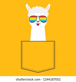 Alpaca llama face head in the pocket. Rainbow glasses. Cute cartoon animals. Kawaii character. Dash line. White and black color. T-shirt design. Baby yellow background. Flat design Vector illustration