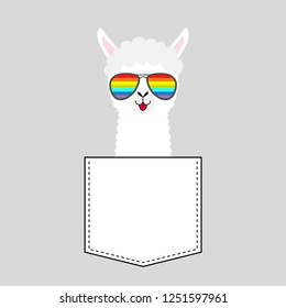 Alpaca llama face head in the pocket. Rainbow glasses. Cute cartoon animals. Kawaii character. Dash line. White and black color. T-shirt design. Baby gray background. Flat design. Vector