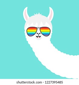 Alpaca llama face in rainbow glassess. Cute cartoon funny kawaii character. Fluffy hair fur. T-shirt, greeting card, poster print. Childish baby collection. Flat design. Blue background. Vector