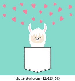 Alpaca llama face sitting in the pocket. T-shirt design. Cute cartoon funny character. Kawaii animal. Pink hearts. Love Valentines Day greeting card. Flat design style. Blue background. Vector