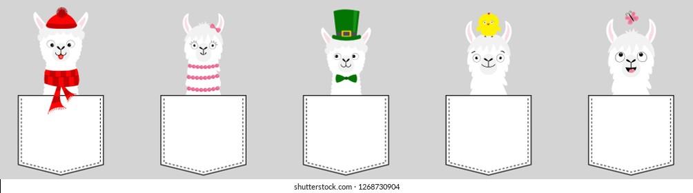 Alpaca llama set. T-shirt pocket. Cute funny cartoon lama character. All seasons. Christmas St Patrick day Easter Bird Chicken Santa hat, Flat design Gray background Vector illustration