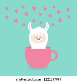 Alpaca llama sitting in coffee cup teacup. Pink hearts. Happy Valentines Day. Funny face . Cute cartoon character. Blue background. Love card. Flat design. Vector