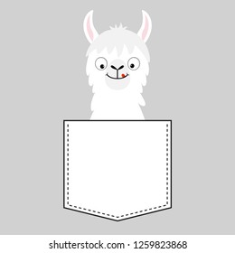 Alpaca llama sitting in the pocket. Face with tongue. T-shirt design. Cute cartoon funny character. Kawaii animal. Love Greeting card. Flat design style. Gray background. Vector illustration