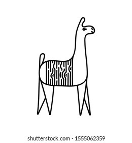 Alpaca or llamas ,hand drawing . Vector design  isolated on white background