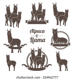 Alpaca and llams emblems collection.