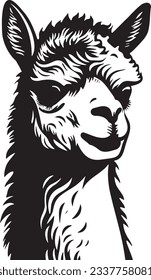 Alpaca with long neck, Basic simple Minimalist vector graphic, isolated on white background, black and white