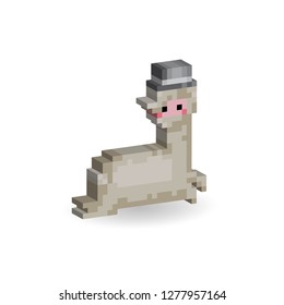 Alpaca Lovely, 3D, Isometric, Pixel, 8-bit, White background.
