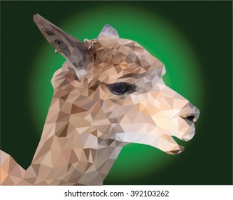 Alpaca low poly on a Green dark background. vector illustration
