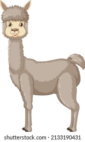 An alpaca on white background illustration