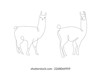 Alpaca one line illustration. Lama line art vector. Peru animals