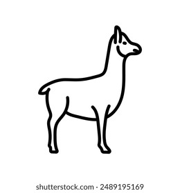 Alpaca Outline Icon, Vector illustration