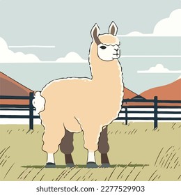 Alpaca in a paddock. Domestic or farm yard animals. Flat vector illustration concept