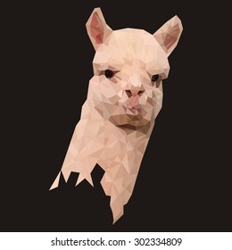 alpaca polygon style