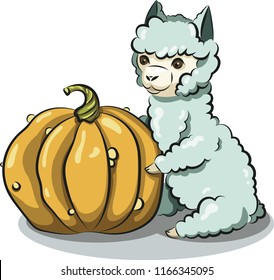 Alpaca with pumpkin. Vector drawing, cute animal.