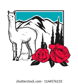 alpaca and rose with mountain landscape