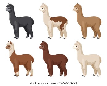 Alpaca-Set, Vektorgrafik. Farbige Alpakas stehen auf weißem Hintergrund. Stock-Vektorgrafik