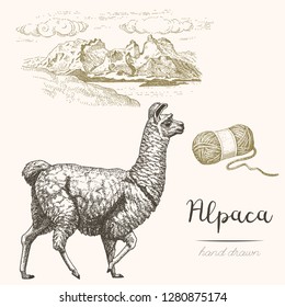 Alpaca. Set of vector sketches of alpaca and mountain landscape on a white background